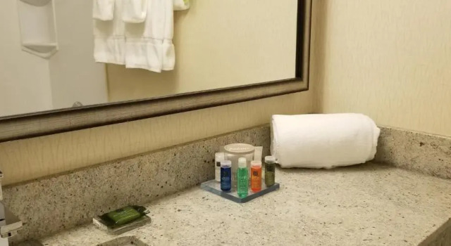 Четырёхместный номер Premium Radisson Hotel Sudbury