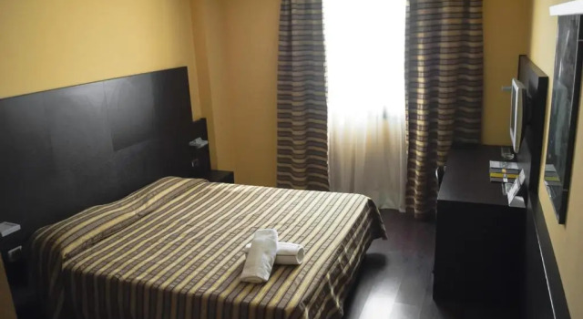 Двухместный номер Standard Vercelli Palace Hotel