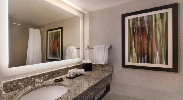 Четырёхместный люкс Embassy Suites by Hilton Palm Desert
