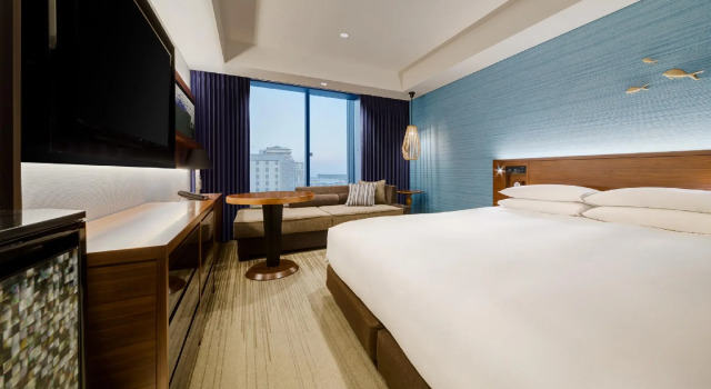 Двухместный номер клубный Hyatt Regency Tokyo Bay