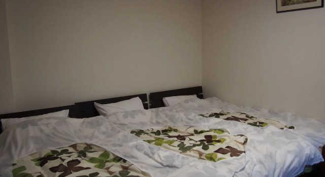 Guest house Maika
