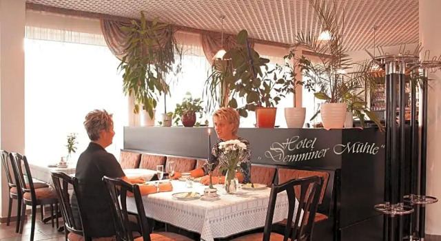 Hotel Demminer Mühle