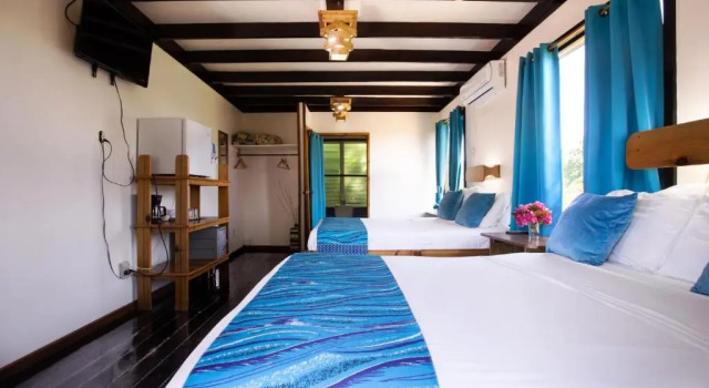 Deluxe Double room Mango Inn Resort