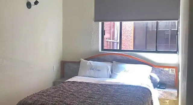 Двухместный номер Deluxe с красивым видом из окна Hotel Panuco