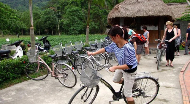 Whisper Nature Bungalow, Book Hotel Cat Ba National Park Cat Ba