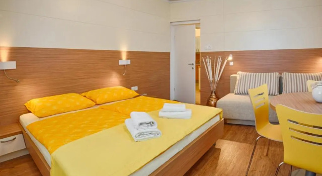 Апартаменты c 1 комнатой Guesthouse Opara