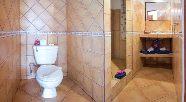 Номер Standard с видом на сад Hotel Laguna del Cocodrilo