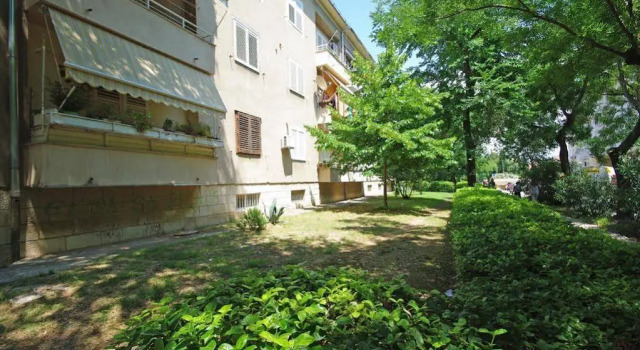 Apartment Dalibor