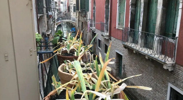 Venice Sun Apartment and rooms, Забронировать Апартаменты/квартира Апартаменты Венеции, рядом с Консульство Франции в Венеции, Апартаменты/квартира