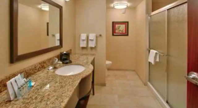 Номер Deluxe Hampton Inn & Suites Denver/Highlands Ranch