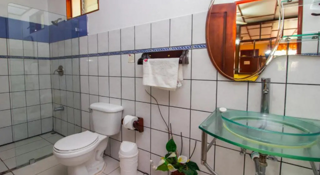 Люкс Hotel La Rosa de America