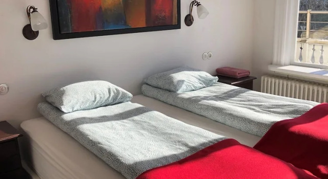 Двухместный номер Standard Downtown Guesthouse Reykjavík