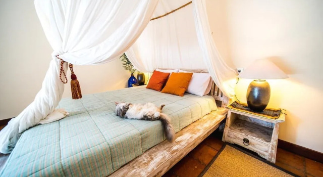 Komfort Studio Easy Surf Villa