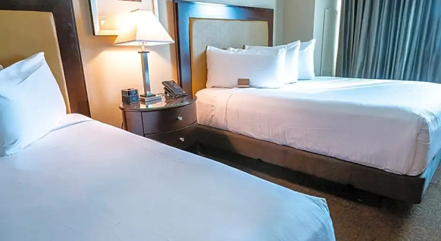 Номер Deluxe Gold Strike Casino Resort