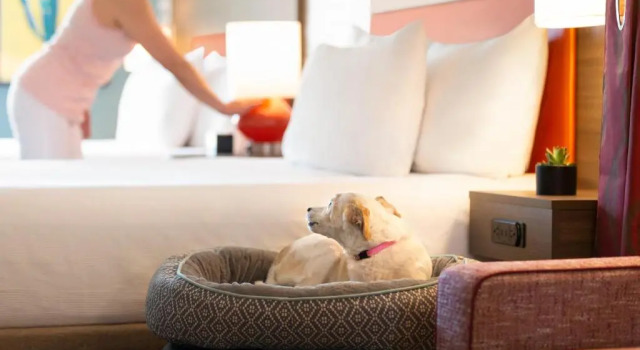 Двухместный люкс Premium Home2 Suites By Hilton Mesa Longbow, Az