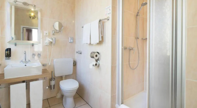 Одноместный номер Comfort Hotel Monopol