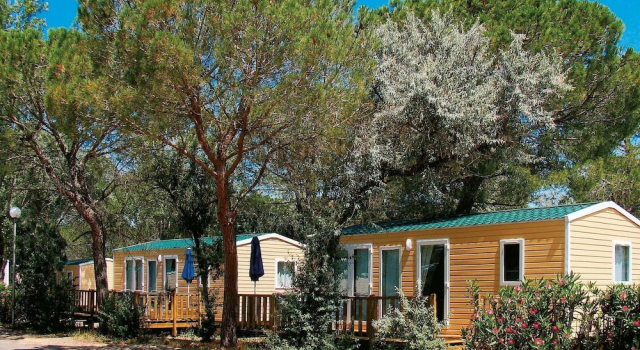 Cozy Mobile Home With AC in Quaint, and Green Camargue, Book Hotel Hotels in Camargue with a Pool, Swimming Pool