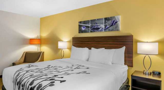 Двухместный номер Standard Sleep Inn & Suites Great Falls Airport