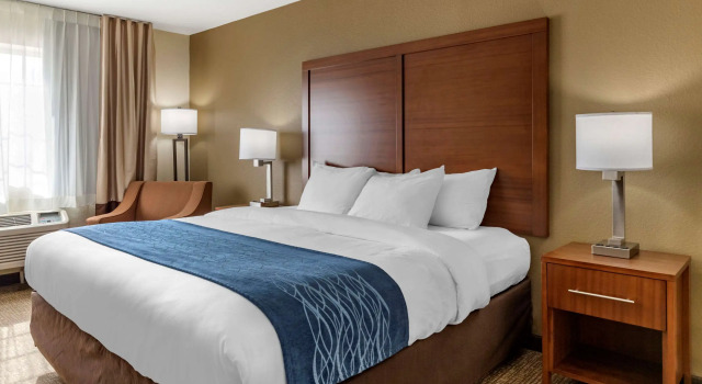 Двухместный номер Standard Comfort Inn & Suites Texas Hill Country
