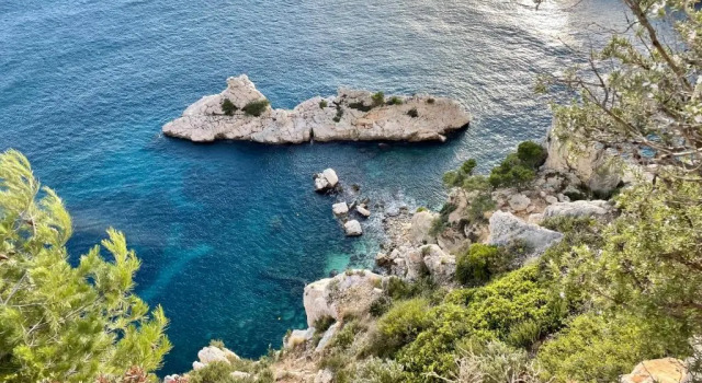 Appart Vue Mer le Panoramique Vieux-Port de Marseille