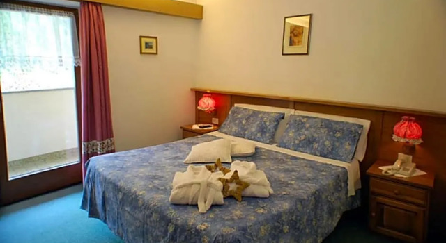 Двухместный номер Standard Wellness Hotel Dolomia