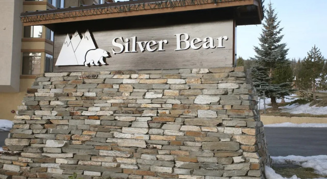 Silver Bear 36
