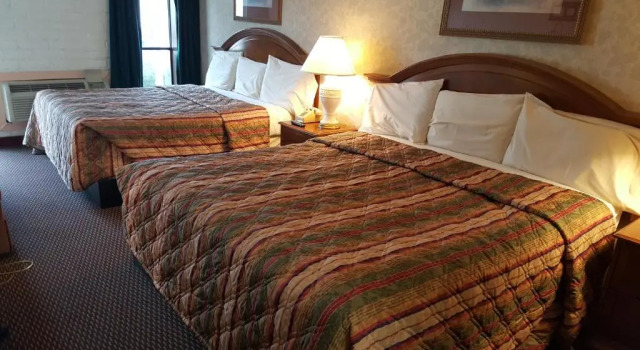 Четырёхместный люкс Edelweiss Inn New Braunfels