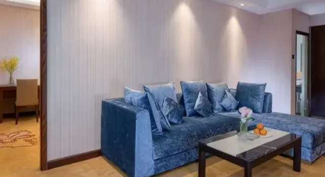 Люкс Deluxe Vienna Hotel Shenzhen Gongming Bus Station