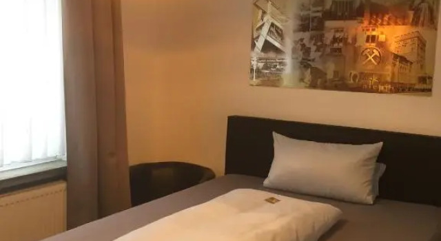 Одноместный номер Standard Hotel Aleo