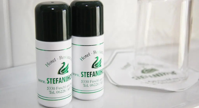 Одноместный номер Standard Hotel-Restaurant Stefanihof