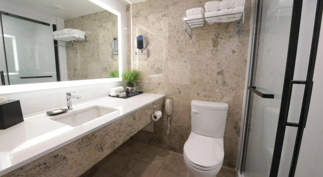 Двухместный номер Standard Sheraton Laval Hotel