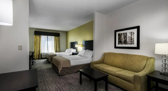 Двухместный люкс Holiday Inn Express Conway by IHG