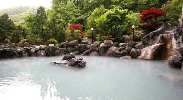 Номер Japanese-Style Hotel Mahoroba