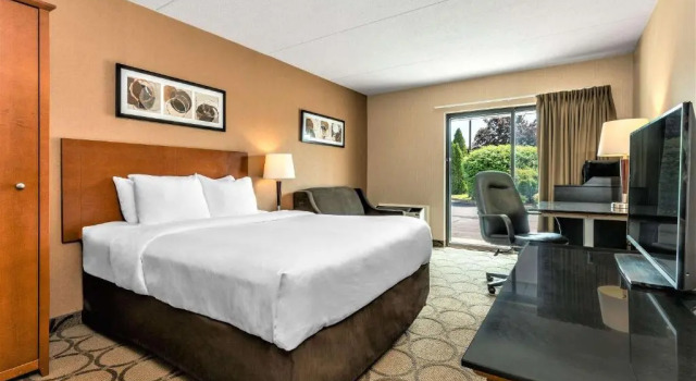 Двухместный номер Цокольный этаж Comfort Inn South