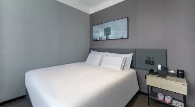 Двухместный люкс Business Shankee Hotel