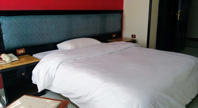 Двухместный номер Economy New Da Vinci Hotel