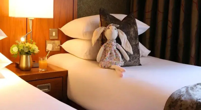 Семейный номер Classic The Rose Hotel