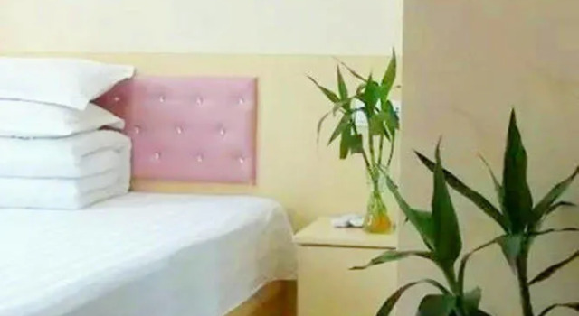 Jintaohong Taoyuan Hotel