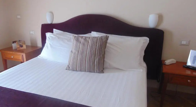 Двухместный номер Standard Hotel delle Terme & Spa