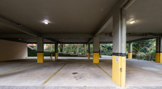 Araucárias 302