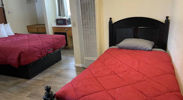 Люкс Deluxe Snow Bear Lodge