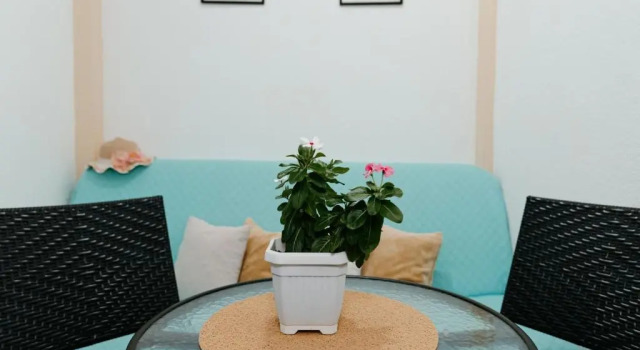 Апартаменты Apartments Dragobratović