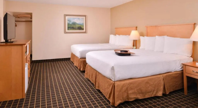 Четырёхместный номер Standard Campus Inn & Suites Eugene Downtown