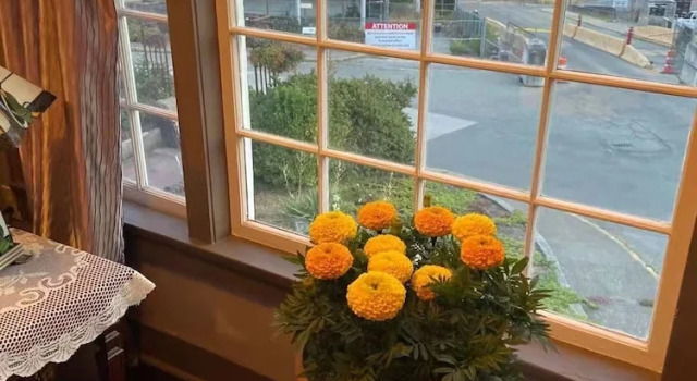 Люкс Executive с видом на океан Rodmay Heritage Hotel