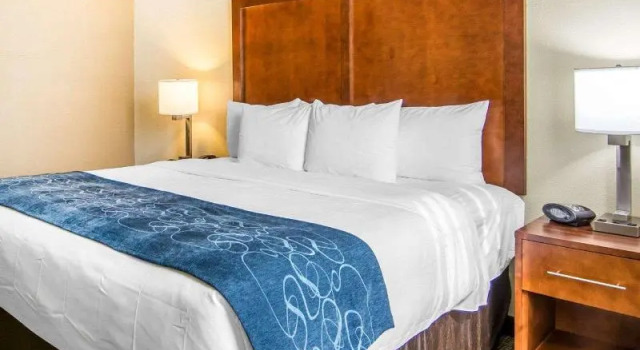 Номер Standard Comfort Suites Fredericksburg South