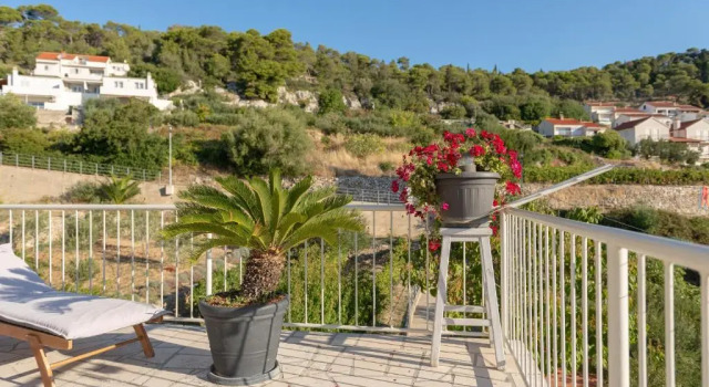 Номер Standard Apartments Olive Tree