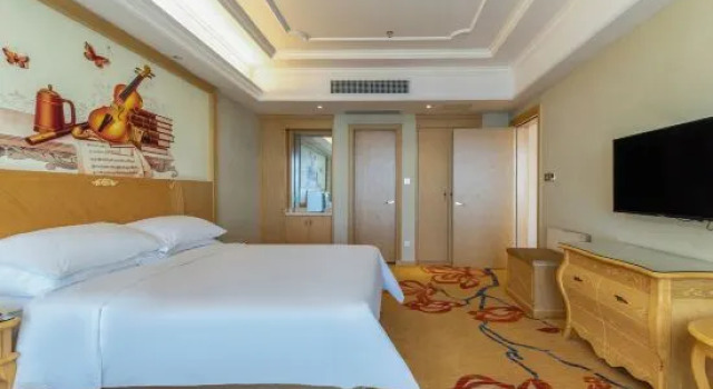 Люкс Deluxe Vienna International Hotel (Danzhou Yangpu)