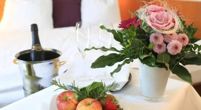 Одноместный номер Standard Landidyll Hotel Lamm