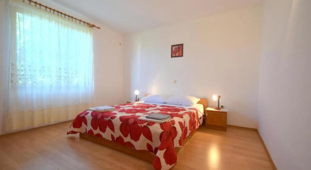 Apartment Anica