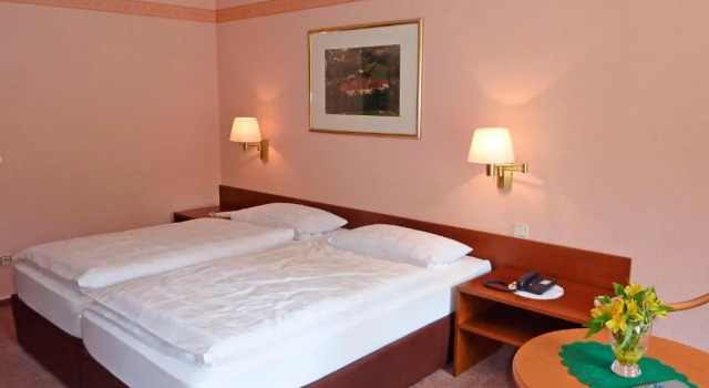 Номер Standard Waldhotel Felsenkeller am Teutoburger Wald